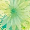 花键图片（花键）