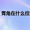 胃角在什么位置解剖图（胃角的位置示意图）