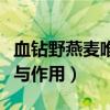 血钻野燕麦唯一官方网站（血钻野燕麦的功效与作用）