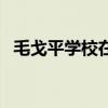 毛戈平学校在哪些地方（毛戈平学校别去）