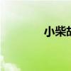 小柴胡的功效与作用（xch）