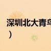 深圳北大青鸟学校地址在哪里（深圳北大青鸟）
