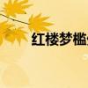 红楼梦槛外人原文（红楼梦槛外人）