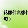 花像什么像什么像什么造句（像什么像什么造句）