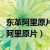 东革阿里原片的功效与作用及食用方法（东革阿里原片）