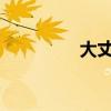 大丈夫38集（大丈夫38）