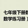 七年级下册数学同步训练电子版（七年级下册数学练习册）