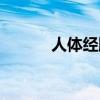 人体经脉系统图解（人体经脉）