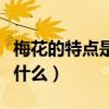 梅花的特点是什么品格是什么(梅花的特点是什么) 梅花的特点是什么品格是什么(梅花的特点是什么)