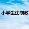 小学生法制教育心得体会（小学生法制教育）