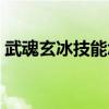 武魂玄冰技能怎么放（武魂玄冰选什么血统）