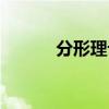分形理论及其应用（分形理论）