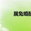 属兔婚配表大全(属兔婚配属相) 属兔婚配表大全(属兔婚配属相)