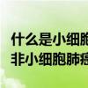 什么是小细胞癌什么是非小细胞肺癌（什么是非小细胞肺癌）