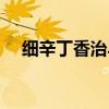 细辛丁香治早泄（细辛丁香泡酒涂多少）