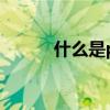 什么是pc端打印(什么是pc端) 什么是pc端打印(什么是pc端)