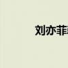刘亦菲新活动（刘亦菲新专辑）