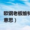 欧钢老板维特根斯坦是什么意思（斯坦是什么意思）