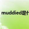 muddied是什么意思啊（muddy什么意思）