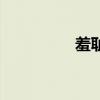 羞耻感的意思（羞耻感）
