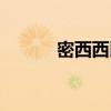 密西西比河地图（密西西比河）