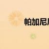帕加尼风之子(帕格尼 风之子) 帕加尼风之子(帕格尼 风之子)