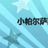 小帕尔萨斯怎么进化（小帕尔萨斯）