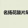 名扬花鼓片尾曲高品质（名扬花鼓片尾曲）