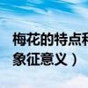 梅花的特点和象征意义100字（梅花的特点和象征意义）