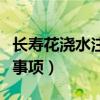 长寿花浇水注意事项和方法（长寿花浇水注意事项）