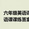 六年级英语课课练答案下册译林版（六年级英语课课练答案）