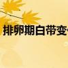 排卵期白带变化图解（排卵前后白带变化图）