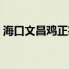 海口文昌鸡正宗老字号（文昌鸡哪里最正宗）