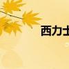 西力士30粒300元（西力士）