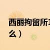 西丽拘留所10天生活（拘留所拘留10天吃什么）