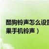 酷狗铃声怎么设置苹果手机铃声视频（酷狗铃声怎么设置苹果手机铃声）