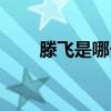 滕飞是哪个电视剧中的人物（滕飞）