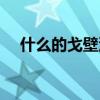 什么的戈壁沙漠填空（什么的戈壁填空）