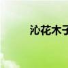 沁花木子去角质慕斯（沁花木子）