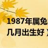 1987年属兔的几月出生最好命（1987年属兔几月出生好）