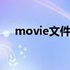 movie文件夹（favoritevideo文件夹）