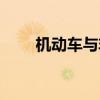 机动车与非机动车相撞（动车相撞）