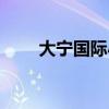 大宁国际小学对口小区（大宁国际）