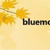 bluemood红茶店(bm红茶店) bluemood红茶店(bm红茶店)