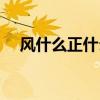 风什么正什么一个成语（风什么正什么）