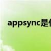 appsync是什么插件?（appsync是什么）