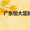 广东恒大足球俱乐部球员（广东恒大足球）