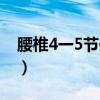 腰椎4一5节位置图带字（腰椎4一5节位置图）
