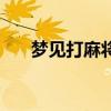 梦见打麻将赢钱了（梦见打麻将赢钱）