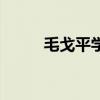 毛戈平学校怎么样（毛戈平学校）